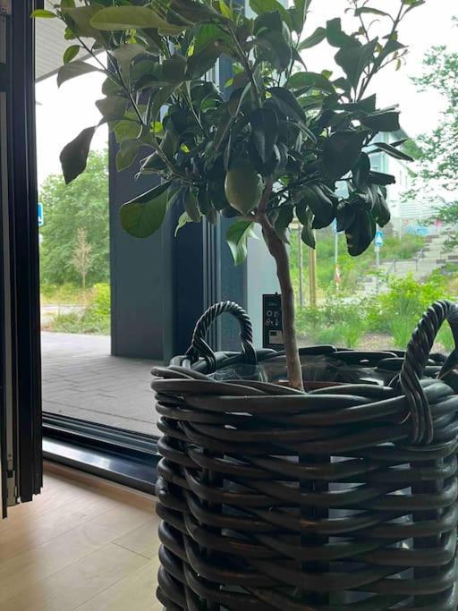 Chic Duplex Near Sea And Old Town In Aria * Таллин